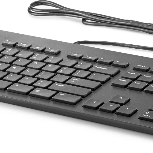 HP Business Slim Smartcard Keyboard, Full-size (100%), Wired, USB, Mechanical, QWERTY, Black