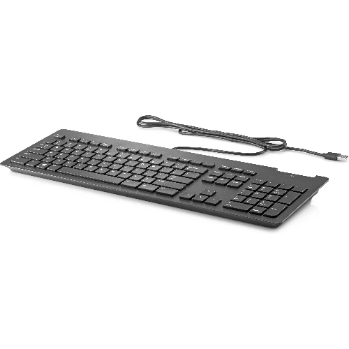 HP Business Slim Smartcard Keyboard, Full-size (100%), Wired, USB, Mechanical, QWERTY, Black