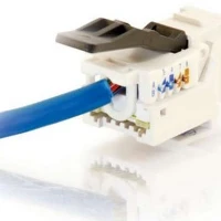 C2G Cat6 RJ45 UTP Toolless Keystone Jack, White, RJ45, Gold, 12 g