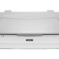 Epson Expression 13000XL, 310 x 437 mm, 2400 x 4800 DPI, 16 bit, 48 bit, Flatbed scanner, White