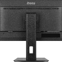 iiyama ProLite XUB2497HSN-B1, 61 cm (24