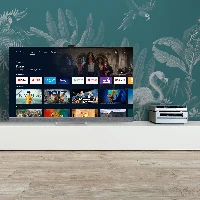 TCL ANDROID TV 9.0 HD4K 55