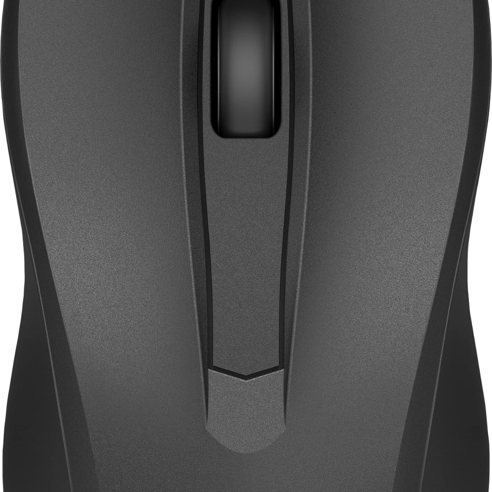 HP WIRED MOUSE 100 EURO