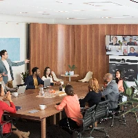 LO VIDEOCONFERENZA RALLY