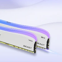 FURY DDR4 2x8G 3600 DIMM RGB W