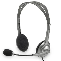 Logitech H110 headset, Wired, Office/Call center, 20 - 20000 Hz, 74 g, Headset, Black, Silver