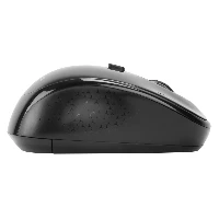 Targus AMW50EU, Ambidextrous, Blue Trace, RF Wireless, 800 DPI, Black