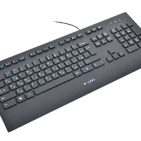 Logitech K280E Pro, Full-size (100%), Wired, USB, QWERTY, Black