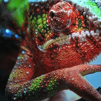 VIDEOPROIETTORE EH-TW7100