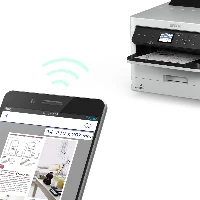 EP WORKFORCE PRO WF-C529RDTW