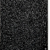 HP Renew - Custodia per notebook - 14 - per Elite Mobile Thin Client mt645 G7, EliteBook 830 G6, Pro Mobile Thin Client mt440 G3