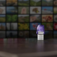 Kingston DataTraveler microDuo 3C - Chiavetta USB - 256 GB - USB 3.2 Gen 1 / USB-C