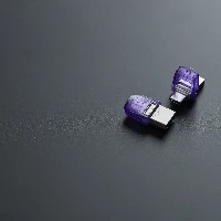 Kingston DataTraveler microDuo 3C - Chiavetta USB - 256 GB - USB 3.2 Gen 1 / USB-C