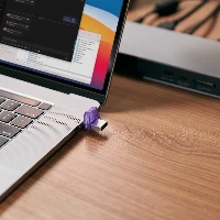 Kingston DataTraveler microDuo 3C - Chiavetta USB - 256 GB - USB 3.2 Gen 1 / USB-C