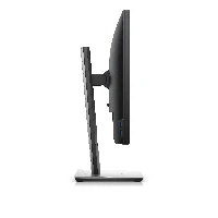 Dell P1917S - Monitor a LED - 19 - 1280 x 1024  60 Hz - IPS - 250 cd/m - 10001 - 6 ms - HDMI, VGA, DisplayPort - nero - con 3 anni di garanzia Advanced Exchange Service and Premium Panel