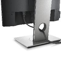 Dell P1917S - Monitor a LED - 19 - 1280 x 1024  60 Hz - IPS - 250 cd/m - 10001 - 6 ms - HDMI, VGA, DisplayPort - nero - con 3 anni di garanzia Advanced Exchange Service and Premium Panel