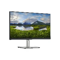 DELL 24 MONITOR P2422H 60,5CM(23.8)