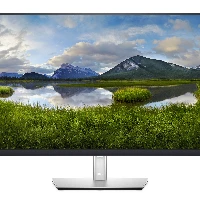 DELL 32 USB-C MONITOR P3221D 31.5