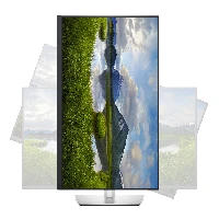 DELL 32 USB-C MONITOR P3221D 31.5