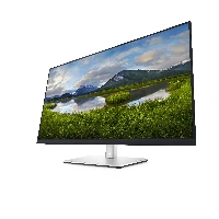 DELL 32 USB-C MONITOR P3221D 31.5