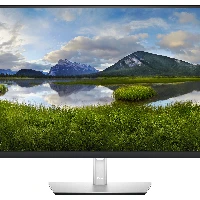DELL 32 USB-C MONITOR P3221D 31.5