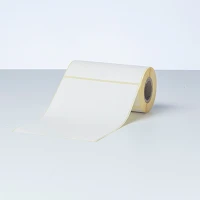 BDE1J152102058 85 ETICH 102MMX152MM