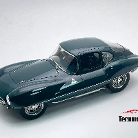 Alfa Romeo C52 Disco Volante Coupè 1953  Alfa Green