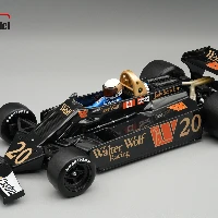 Wolf WR3/5 1978 German GP Driver: Jody Scheckter