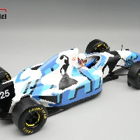 Ligier JS39 1993 Australian GP Driver: M.Brundle car #25