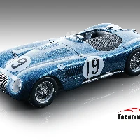 JAGUAR - C-TYPE SPIDER ECURIE ECOSSE N 19 WINNER GOODWOOD 1953 I.STEWART - N.SANDERSSON
