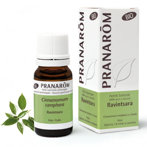 Olio essenziale Ravintsara Cinnamomum camphora Foglia 10 ml