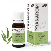 Olio essenziale Eucalipto citriodora Eucalyptus citriodora Foglia 10 ml