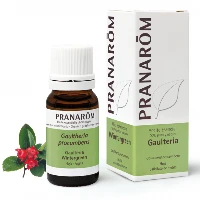 Olio essenziale Wintergreen Gaultheria procumbens Foglia 10 ml