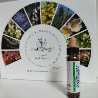 VERVAIN 10 ml.