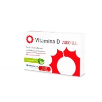 VITAMINA D 2000 UI 84CPR MAST