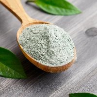 ARGILLA VERDE VENTILATA SACCO - 0,5KG
