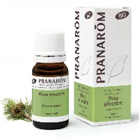 Olio essenziale Pino silvestre Pinus sylvestris Aghi 10 ml