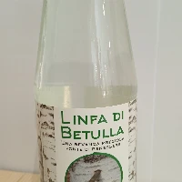 LINFA DI BETULLA 100% - PASTORIZZATA, NON FILTRATA