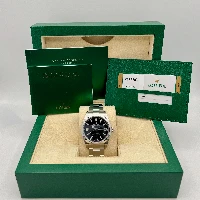 Rolex Explorer I 39mm RRR