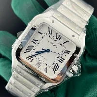 Santos De Cartier White