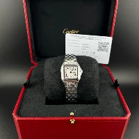 Cartier Panthère Medium Steel New 2025