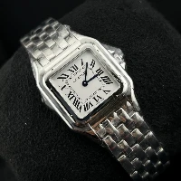 Cartier Panthère Medium Steel New 2025