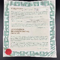 Rolex Lady Datejust 26mm Acciaio & oro Champagne Brillanti 