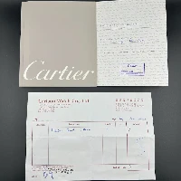 Cartier Santos Galbée Acciaio Medium