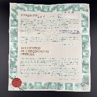 Rolex Datejust 36mm Rosa Brillanti