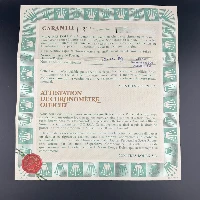 Rolex GMT Master II Pepsi Jubilee