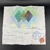 Rolex Oyster Perpetual Date 34mm Nero Indici