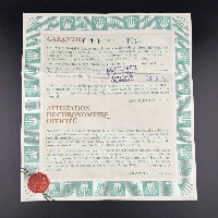 Rolex GMT Master II Coke Unpolished Tritium