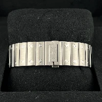 Santos De Cartier White