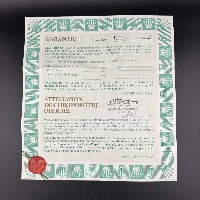 Rolex Day Date Yellow Gold 18k Brillanti